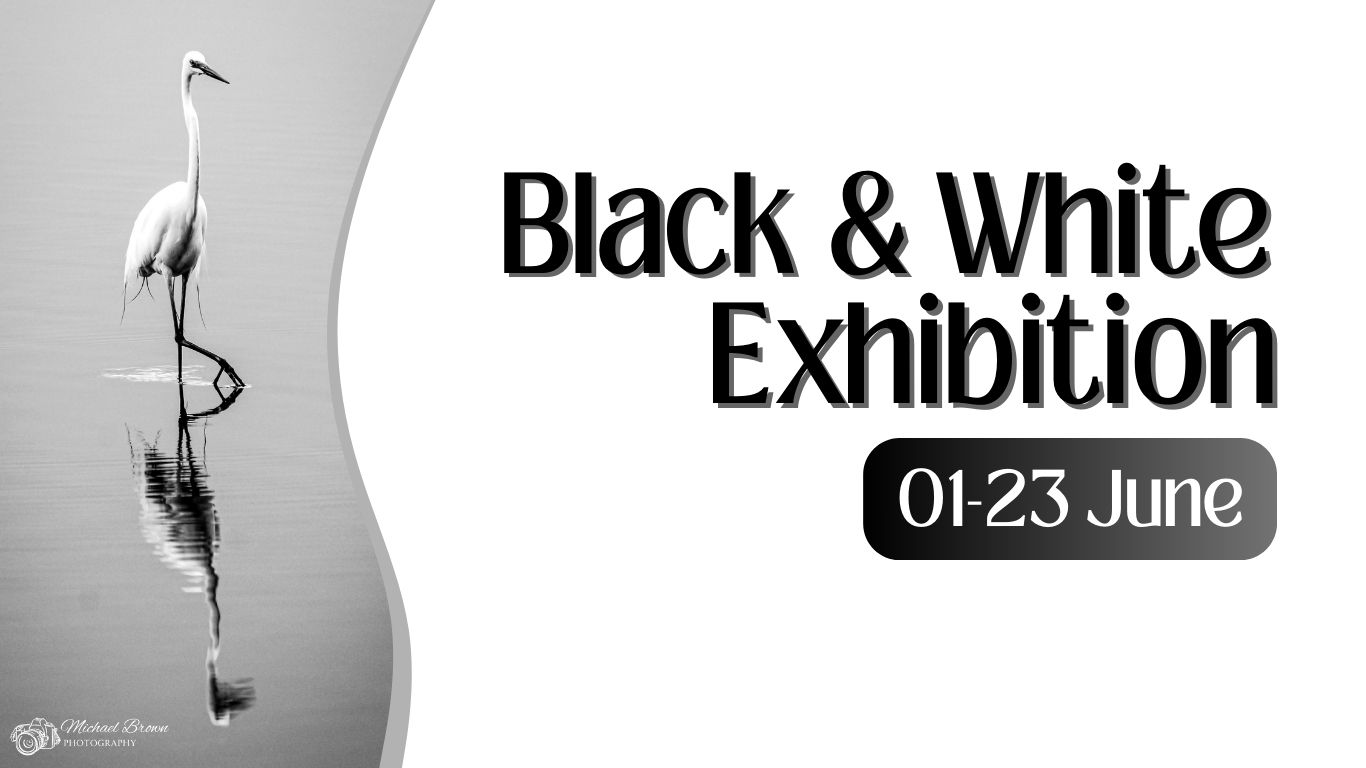 hunter-wetlands-upcoming-events-newcastle-nsw